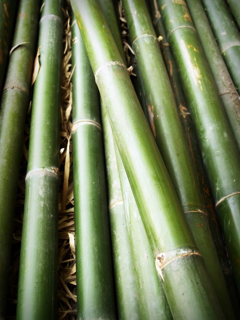 micropartículas de bambu